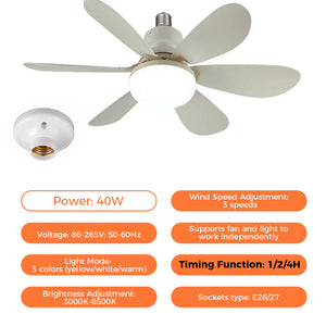 Ceiling Fan with LED Light