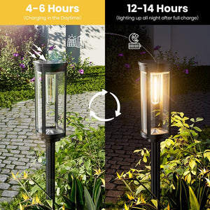 Outdoor Solar Pathway Lights