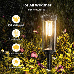 Outdoor Solar Pathway Lights